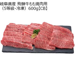 岐阜県産 飛騨牛もも焼肉用(5等級・冷凍)600g【CB】