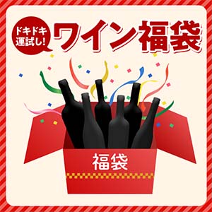 ドキドキ運試し！おまかせワイン6本セット 750ml×6【お届け期間：12月25日より随時お届け】【福袋】