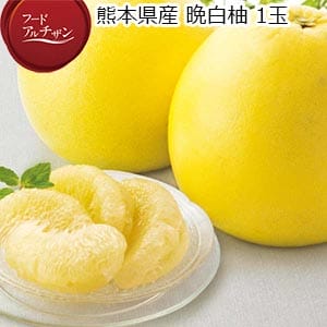 熊本県産 晩白柚 1玉【限定500点】【お届け期間：1月13日〜2月15日】【フードアルチザン】