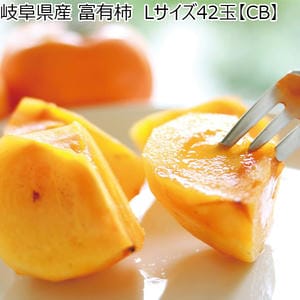 岐阜県産 富有柿 Lサイズ42玉【CB】