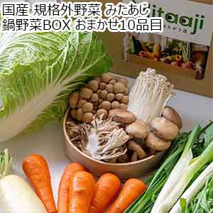 国産 規格外野菜 みたあじ 鍋野菜BOX おまかせ10品目【限定300点】【お届け期間：1月17日〜1月18日】【お買い得セール12月】