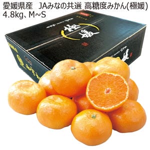 愛媛県産JAみなの共選高糖度みかん(極媛)4.8kg M〜S【お届け期間】2025/12/21‐2026/1/25【お買い得セール12月】【KN】
