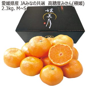 愛媛県産JAみなの共選高糖度みかん(極媛)2.3kg M〜S【お届け期間】2025/12/24‐2026/1/22【お買い得セール12月】【KN】