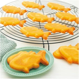 和歌山 アーマリン近大 近大フィナンシェ12個【NN】