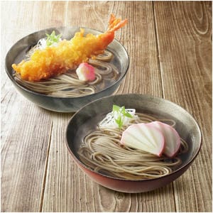 兵庫 田中屋 新そば出石そば 半なまそば160g×5、かけ用つゆ30ml×10【NN】