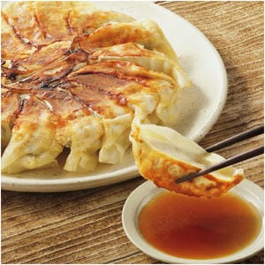 大阪 原田屋 生餃子100個 生餃子(17g×20個)5、餃子のたれ10g×10【NN】