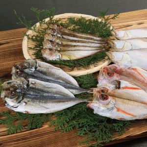 鳥取 鷦鷯屋 一夜干詰合せA えてかれい3枚、あじ開き2枚、はたはた5尾、のどぐろ開き2枚、各種山陰沖産【NN】