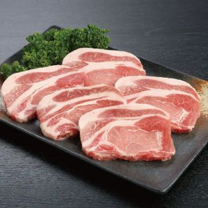 鳥取 大山豚ロースとんかつ・ソテー 100g×5枚【NN】