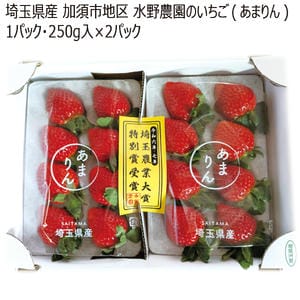 埼玉県加須市地区水野農園のいちご(あまりん)1パック・250g入×2パック「お届け期間」2026/01/15〜2026/03/08【KN】