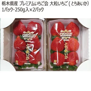 栃木県産プレミアムいちご会大粒いちご(とちあいか)1パック・250g入×2パック「お届け期間」2026/02/01〜2026/02/28【KN】