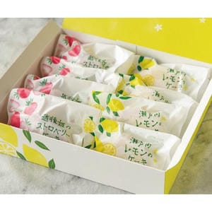 ヤマトヤ製菓 果実ケーキセット(50g×8個)【KN】