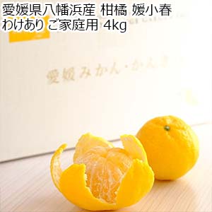 愛媛県八幡浜産 柑橘 媛小春 わけあり ご家庭用 4kg【限定500点】【お届け期間：2月10日〜3月10日】【お買い得セール1月】