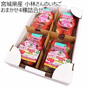 宮城県産 小林さんのいちご おまかせ4種詰合せ【限定200点】【お届け期間：2月1日〜2月28日】【お買い得セール1月】