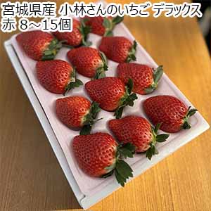 宮城県産 小林さんのいちご デラックス 赤 8〜15個【お届け期間：2月1日〜2月28日】【お買い得セール1月】