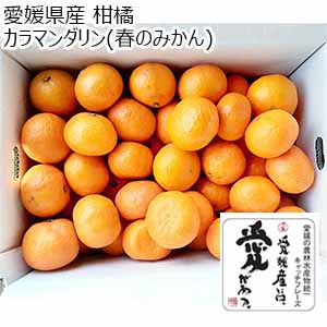 愛媛県産 柑橘 カラマンダリン(春のみかん) 2.8kg【お届け期間：4月1日〜4月30日】【Ａセレクション3月】
