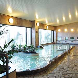 [兵庫・有馬]メープル有馬 日帰り温泉ペア【年間ギフト】