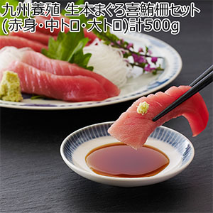 九州養殖 生本まぐろ喜鮪柵セット(赤身・中トロ・大トロ)計500g【お届け期間：3月6日〜3月8日】【九州フェア】