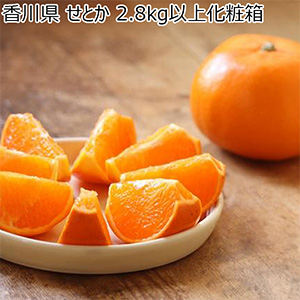 香川県 せとか 2.8kg以上化粧箱 1箱(7-12玉入)【お届け期間:2月5日〜3月14日】【NN】