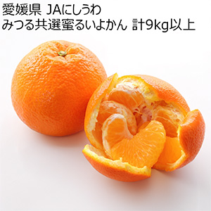 愛媛県 JAにしうわ みつる共選蜜るいよかん 計9kg以上 特秀3L〜L【お届け期間:2月5日〜2月28日】【NN】