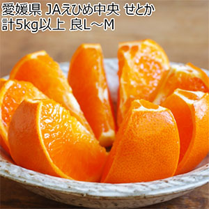 愛媛県 JAえひめ中央 せとか 計5kg以上 良L〜M【お届け期間:3月1日〜3月30日】【NN】