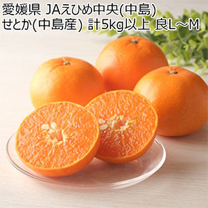 愛媛県 JAえひめ中央(中島) せとか (中島産) 計5kg以上 良L〜M【お届け期間:3月1日〜3月30日】【NN】