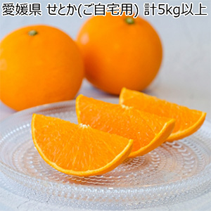 愛媛県 せとか(ご自宅用) 計5kg以上 3L〜S【お届け期間:3月1日〜3月30日】【NN】