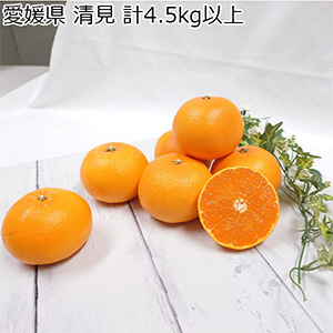 愛媛県 清見 計4.5kg以上 3L〜2L【お届け期間:3月5日〜4月14日】【NN】
