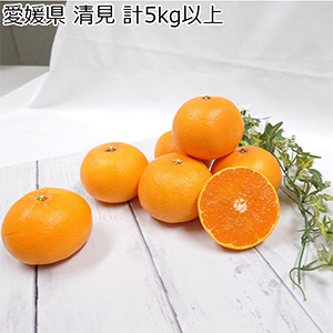 愛媛県 清見 計5kg以上 L〜M【お届け期間:3月5日〜4月14日】【NN】