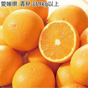 愛媛県 清見 計9kg以上 良以上 3L〜2L【お届け期間:3月5日〜4月14日】【NN】