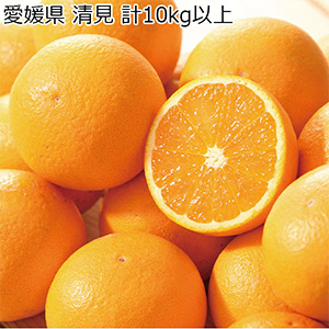 愛媛県 清見 計10kg以上 良以上 L〜M【お届け期間:3月5日〜4月14日】【NN】