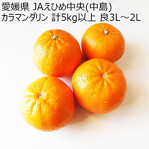 愛媛県 JAえひめ中央(中島) カラマンダリン (中島産) 計5kg以上 良3L〜2L【お届け期間:4月1日〜4月30日】【NN】