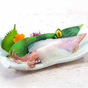 玄界灘産 剣先イカ姿造り1杯(100g)(L8095)【九州フェア】【サクワ】