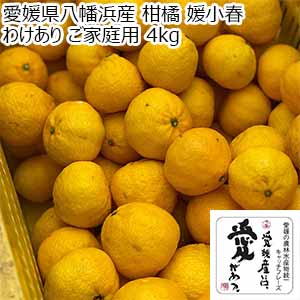 愛媛県八幡浜産 柑橘 媛小春 わけあり ご家庭用 4kg【限定500点】【お届け期間：2月20日〜3月10日】【お買い得セール2月】
