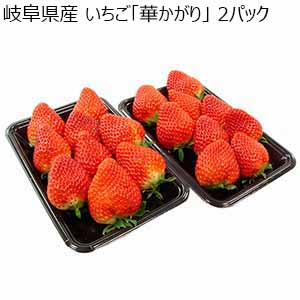 岐阜県産 いちご「華かがり」 2パック【限定200点】【お届け期間：3月1日〜3月31日】【お買い得セール2月】
