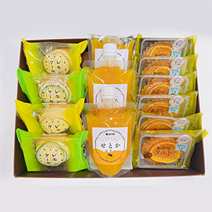 愛媛 永久堂 レモンケーキ2種・紅まどんなタルト・ゼリー詰合せ 13個入 (瀬戸内レモンケーキ×2、青いレモンケーキ×2、紅まどんなタルト×6、ちゅるちゅるゼリー×3)【NN】