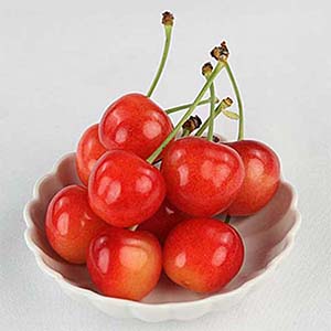 旬とごちそうコース「バイヤーお墨付き！おいしいくだもの紀行」　山形県産 さくらんぼ 佐藤錦または紅秀峰