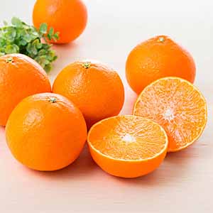 旬とごちそうコース「バイヤーお墨付き！おいしいくだもの紀行」　愛媛県産 柑橘 あいか