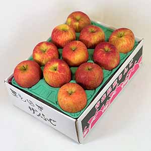 旬とごちそうコース「バイヤーお墨付き！おいしいくだもの紀行」　青森県産 サンふじ 葉とらずりんご