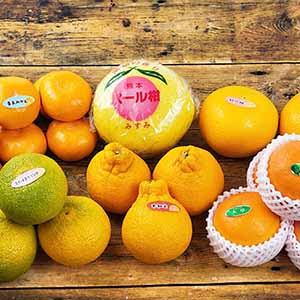 旬とごちそうコース「バイヤーお墨付き！おいしいくだもの紀行」　熊本県産 柑橘詰合せ
