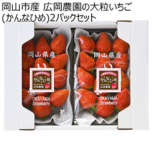 岡山県岡山市産 広岡農園の大粒いちご(かんなひめ)平パック 270g(12-15粒)2パックセット【お届け期間:2月15日〜4月30日】【NN】