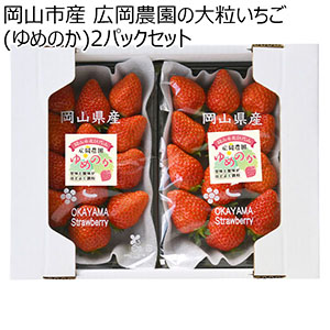 岡山県岡山市産 広岡農園の大粒いちご(ゆめのか)平パック 270g(12-15粒)2パックセット【お届け期間:2月15日〜4月30日】【NN】
