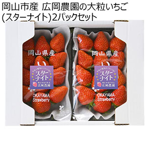 岡山県岡山市産 広岡農園の大粒いちご(スターナイト)平パック 270g(12-15粒)2パックセット【お届け期間:2月15日〜4月30日】【NN】
