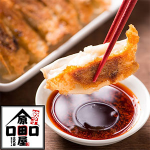 大阪 原田屋 生餃子66個 原田屋生餃子17g×22×3パック 餃子のタレ10g×6袋【春の贈りもの】【NN】