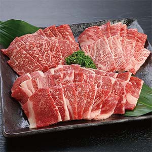 旬とごちそうコース「お肉・海鮮・果物」　宮崎県産 宮崎牛焼肉用4部位食べ比べセット(かたロース、もも、ばら、かた)計600g[MGY04]