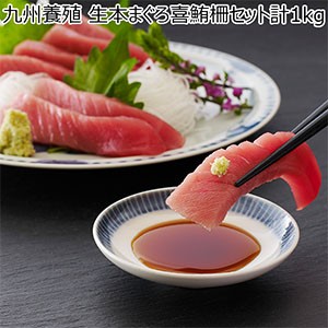 九州養殖 生本まぐろ喜鮪柵セット計1kg【母の日】