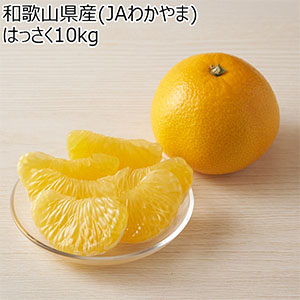 和歌山県産(JAわかやま ありだ地域本部)はっさく10kg【お届け期間:2026年3月10日〜2026年3月22日】【NN】