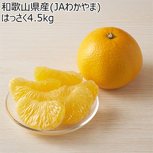 和歌山県産(JAわかやま ありだ地域本部)はっさく4.5kg【お届け期間:2026年3月10日〜2026年3月22日】【NN】