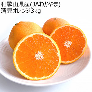 和歌山県産(JAわかやま ありだ地域本部)清見オレンジ3kg【お届け期間:2026年3月10日〜2026年3月25日】【NN】