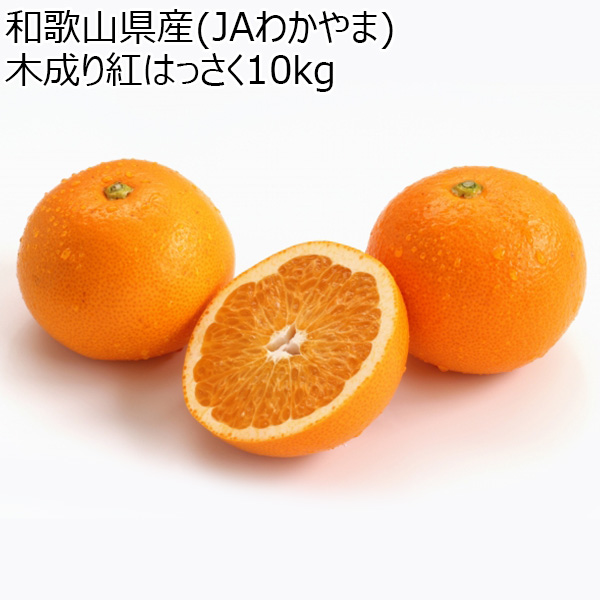 和歌山県産(JAわかやま ありだ地域本部)木成り紅はっさく10kg【お届け期間:2026年3月10日〜2026年3月25日】【NN】