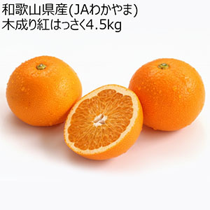 和歌山県産(JAわかやま ありだ地域本部)木成り紅はっさく4.5kg【お届け期間:2026年3月10日〜2026年3月25日】【NN】